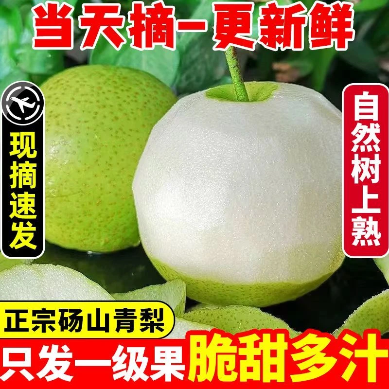 【砀山正宗翠冠梨】脆甜多汁皇冠梨青皮梨新鲜应季脆甜水果