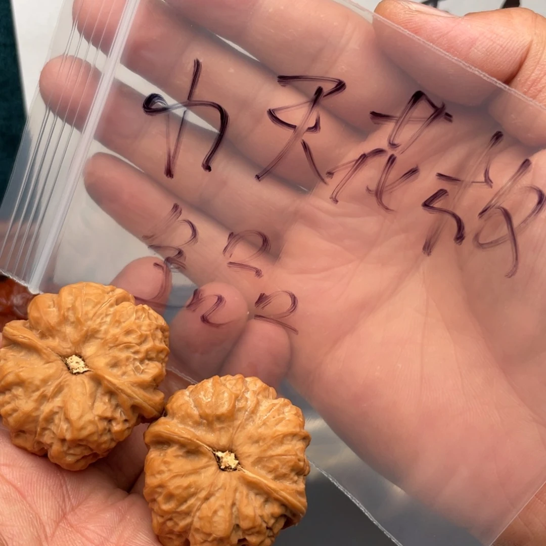 W47949794684684646864