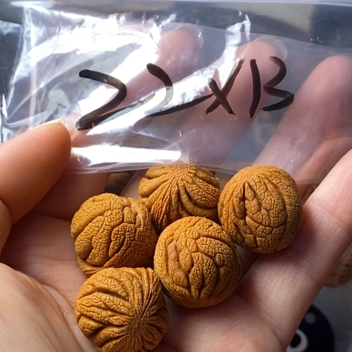 文玩核桃手串秦岭野生龙纹桃核22