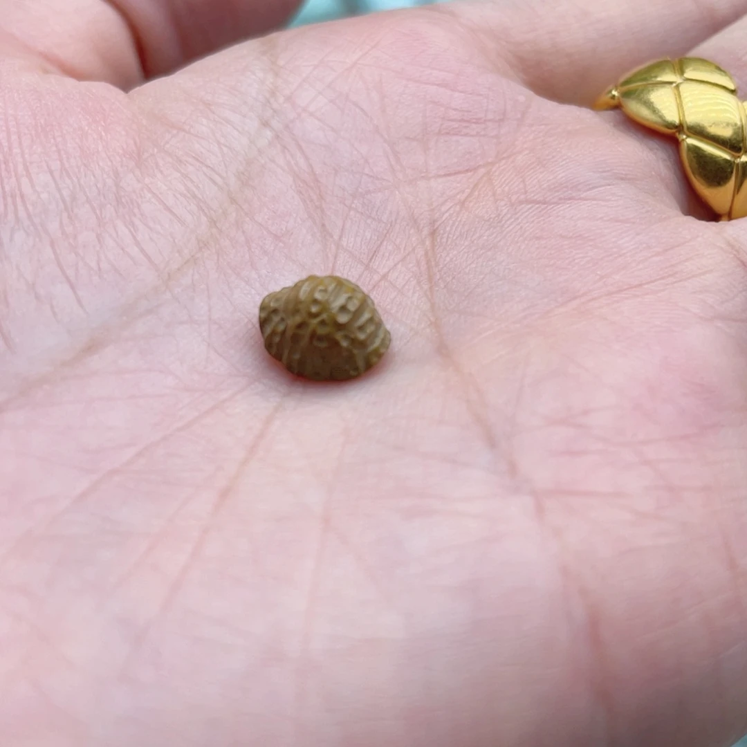 南红玛瑙未镶嵌珠宝奇石