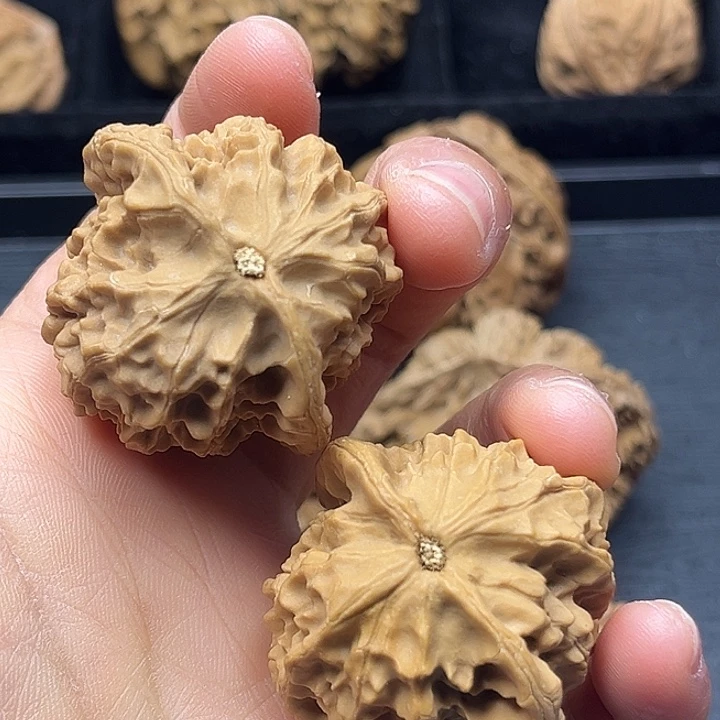 木质类秦岭突突突突突突突