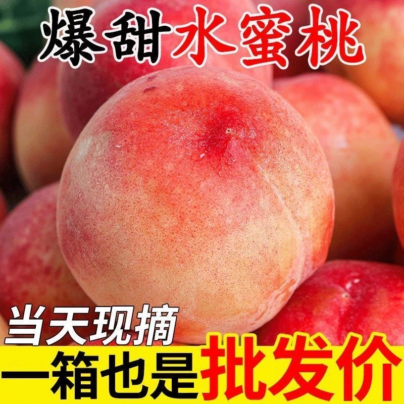 【产地直发】现摘新鲜水蜜桃红心果肉软脆两吃当季水果~