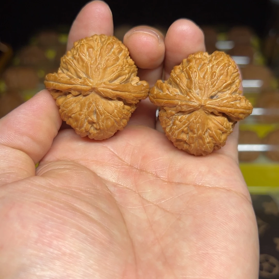 桃核把件白狮子尺40