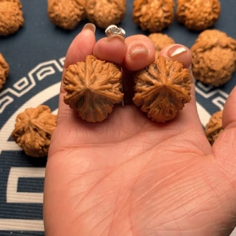 橄榄核手串/手链文山三棱30