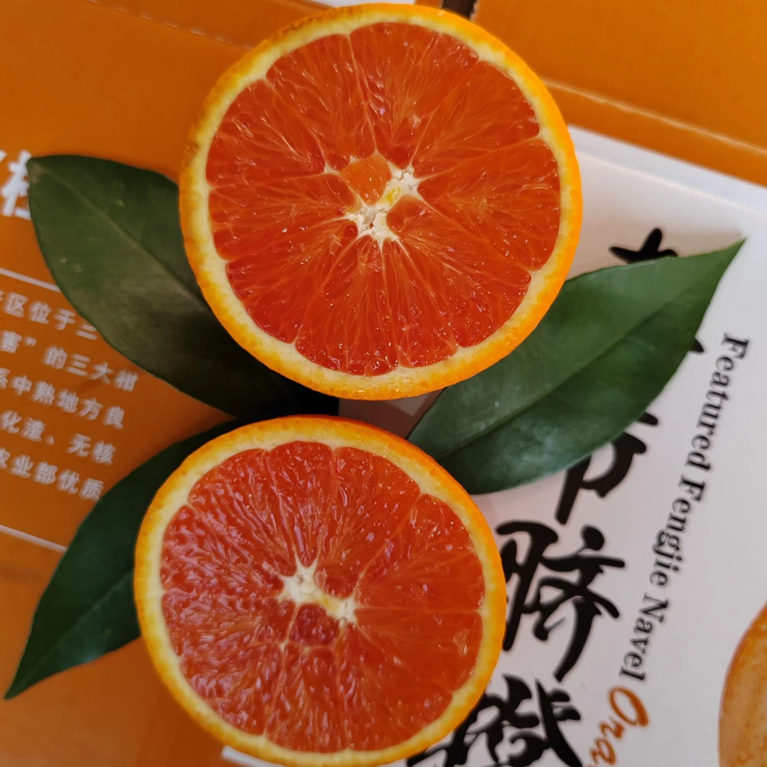 中华红橙5斤/10斤新鲜现摘脆嫩酸甜细腻果香脐橙浓郁非塔罗科血橙