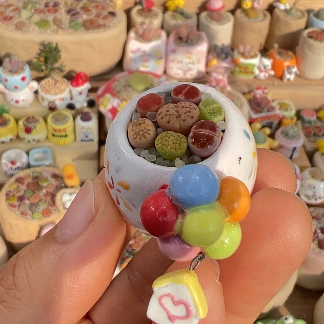 多肉植物33号彩色