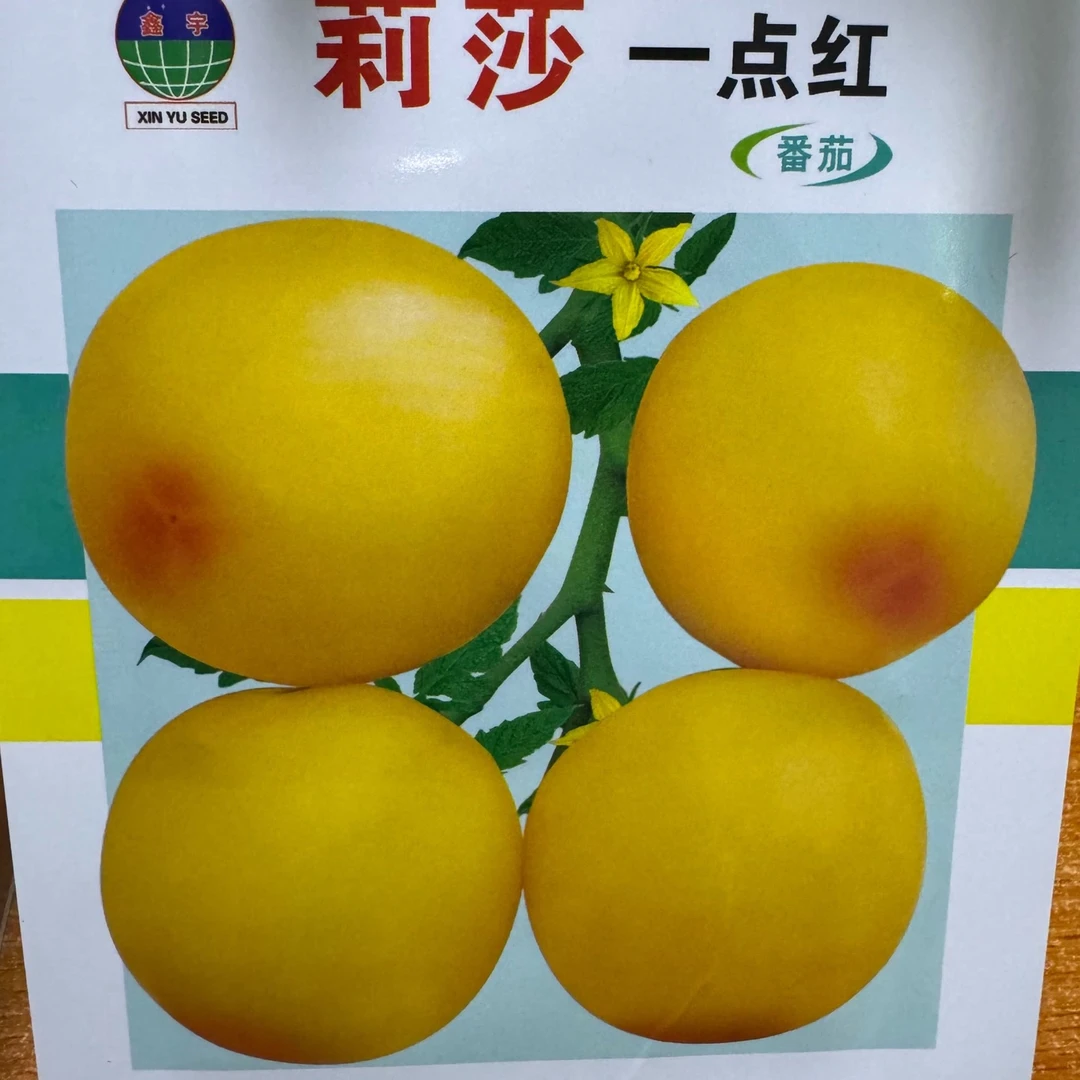 jj莉莎一点红番茄今年新种今年新种