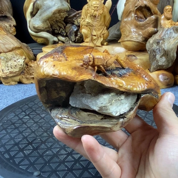 柏木崖柏崖柏崖柏崖柏崖柏