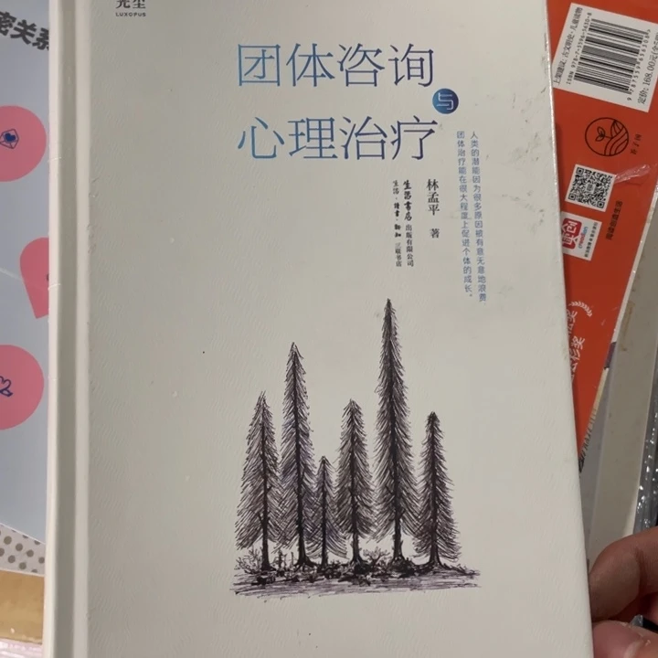 团体咨询与心理治疗