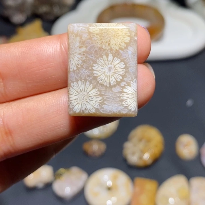 【闪购商品】未镶嵌珊瑚玉硅化玉