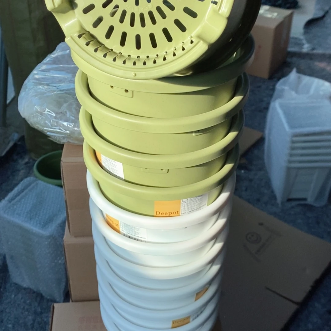 树脂17口爱丽丝7白5果绿无托