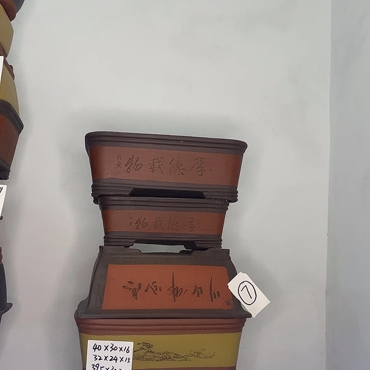 07虾还咳嗽漏了紫砂