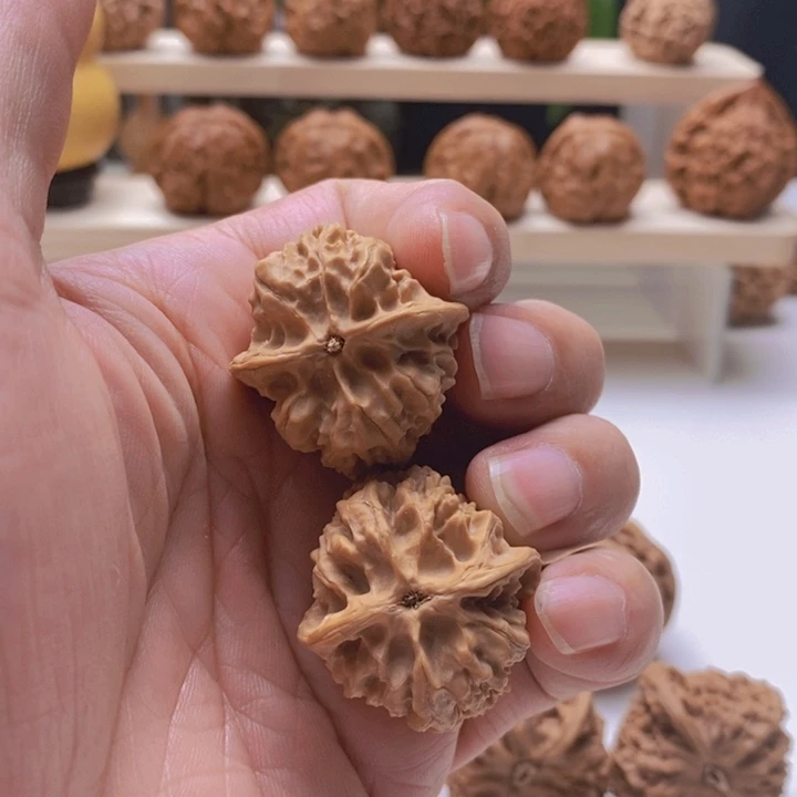 十三陵野生鸡心30/31/38