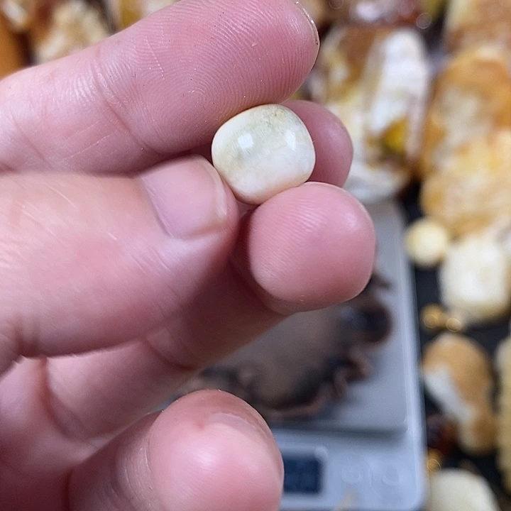 裸石琥珀未镶嵌我