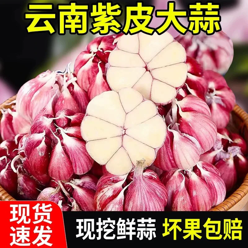 10斤装特大果王】鲜蒜新鲜大蒜头现挖可腌制糖醋蒜腊八蒜2025年