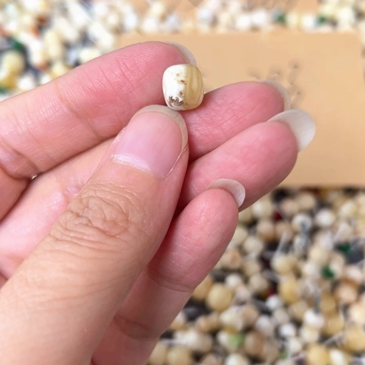 裸石蜜蜡未镶嵌8.5mm一个