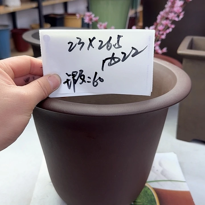 紫砂111111112222222232