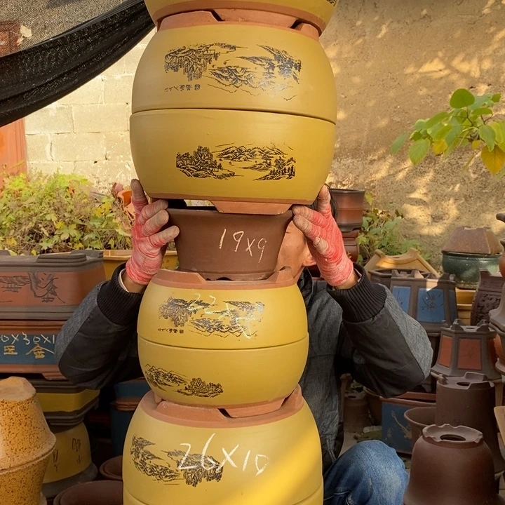 花盆紫砂紫砂壶的时候