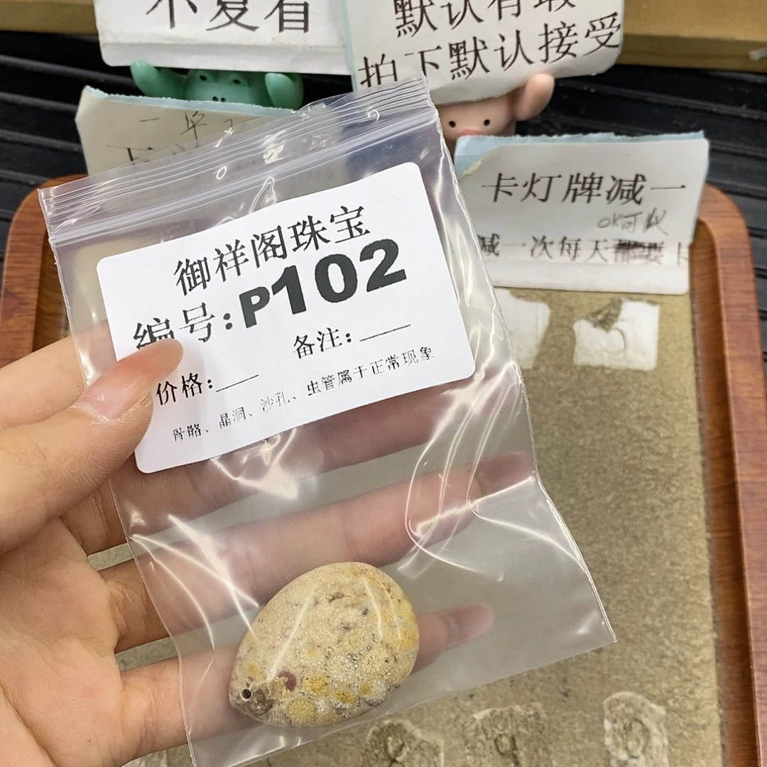 硅化珊瑚（珊瑚玉）未镶嵌颈饰