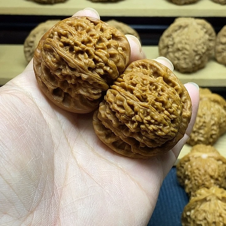 核桃43南疆石福利核桃