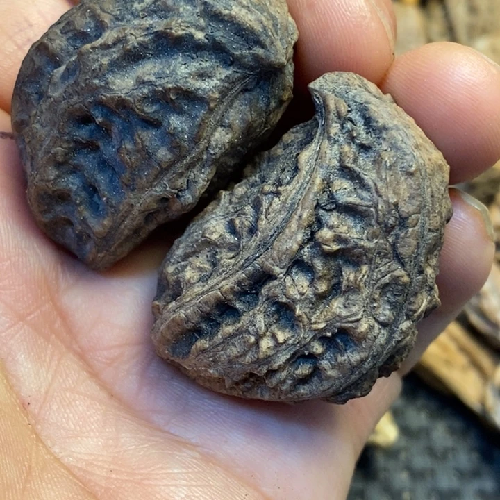 文玩核桃吊坠娜姐42