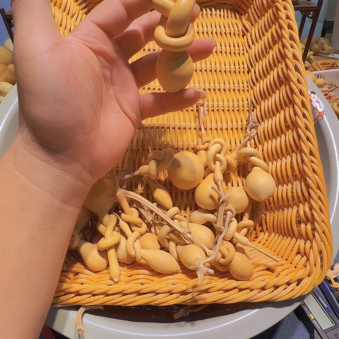 ****缘扇子葫芦里还含有许多蛋白成分与