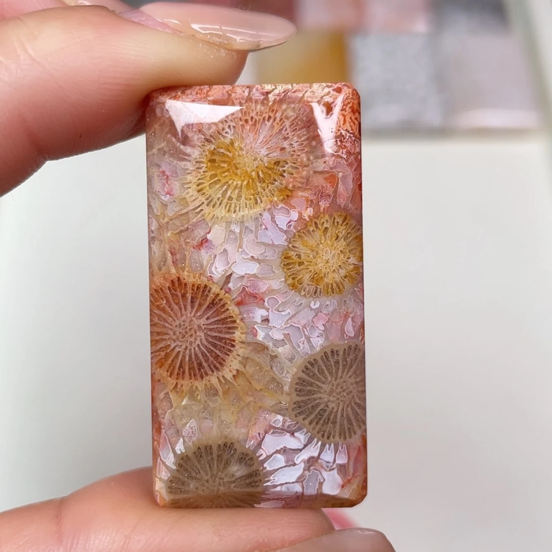 【闪购商品】未镶嵌吊坠(赠链)硅化玉
