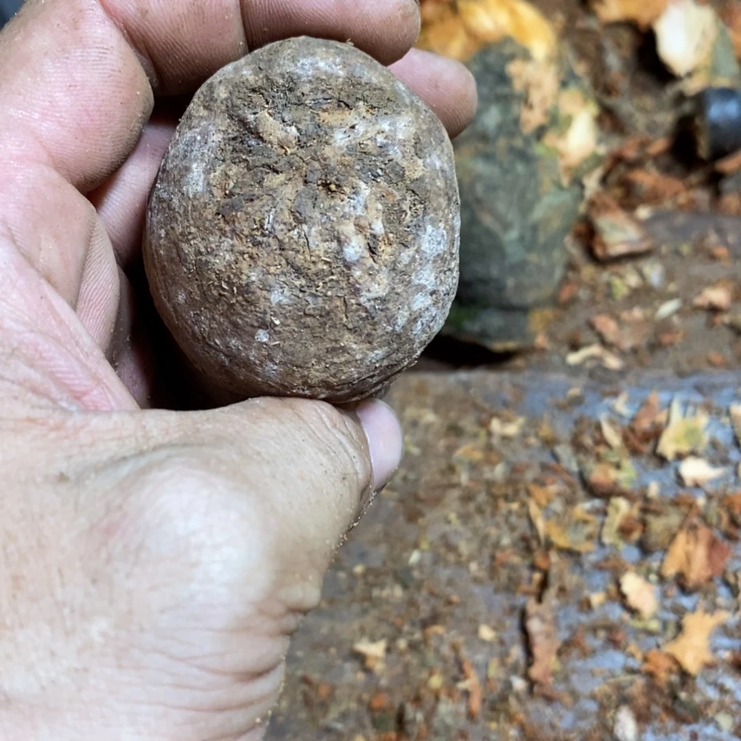 荔枝木荔枝木原材料