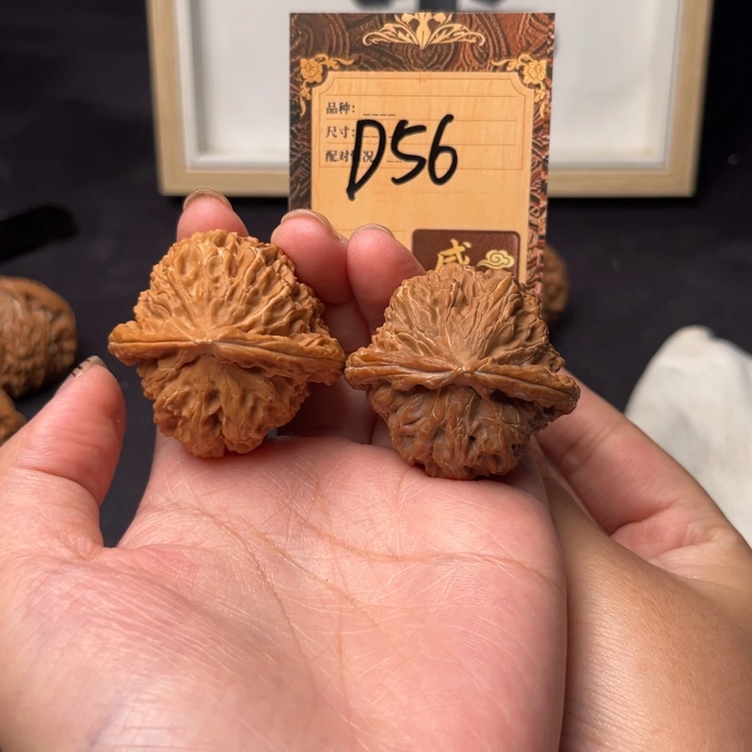 核桃d56三角白1111