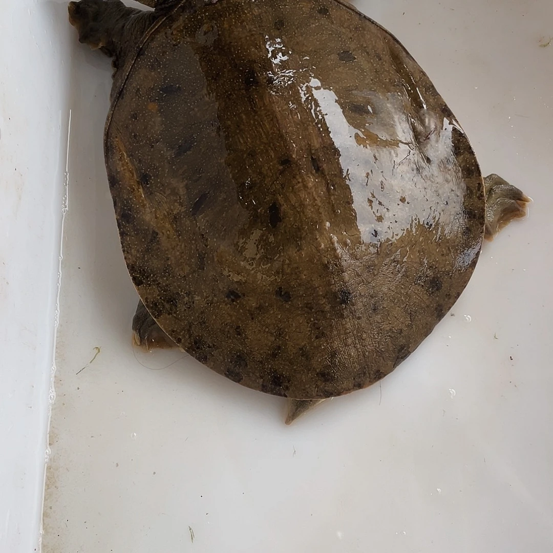 中国大陆12345678