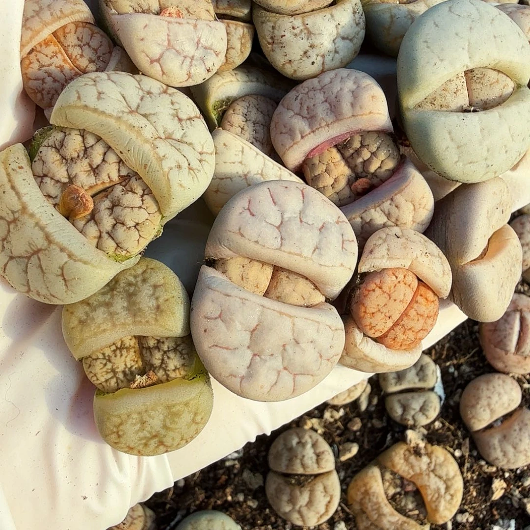 不会因为不懂自己内心002