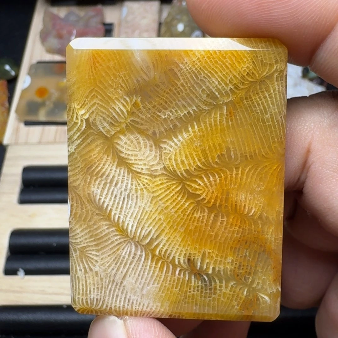 未镶嵌纯天然色有机玉石保真色硅化玉