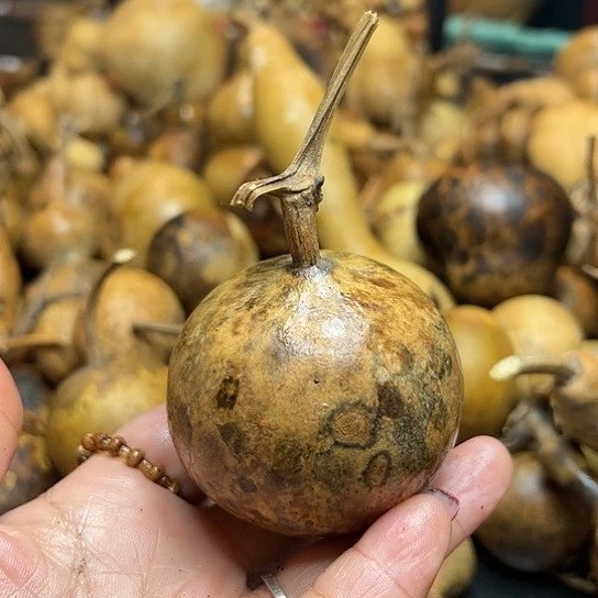 已****销葫芦葫芦葫芦葫芦