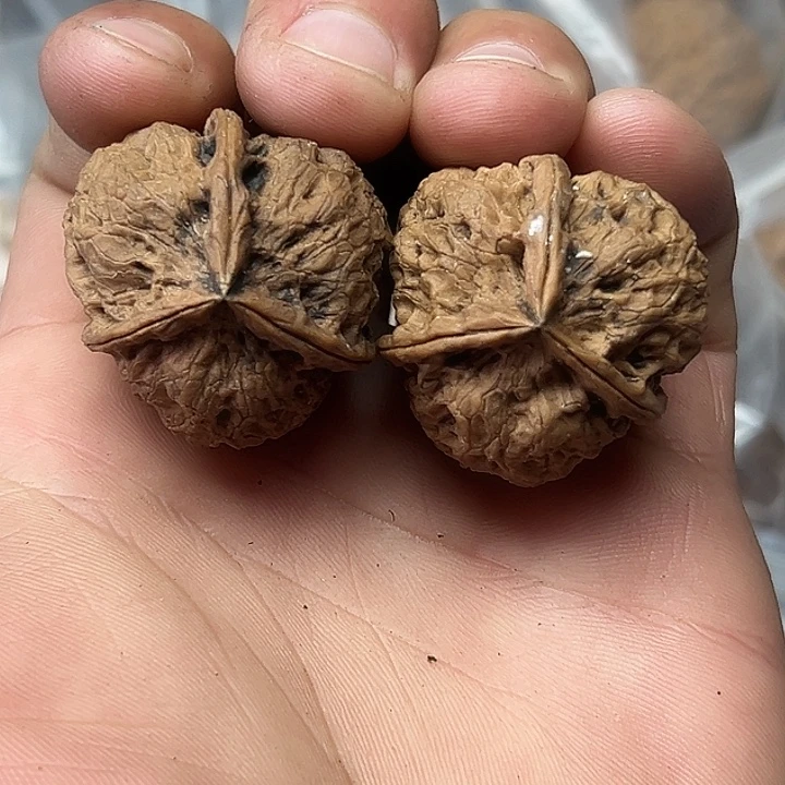 文玩核桃把件31号曼巴三楞31尺