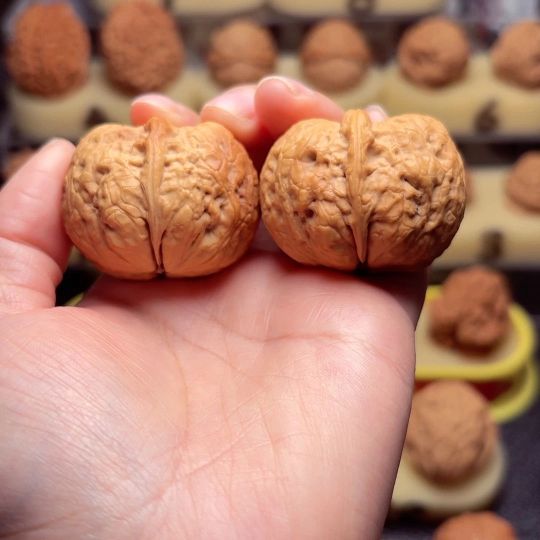 文玩核桃把件鳄*生天启元宝