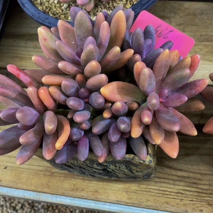 这么久没有这么晚回家