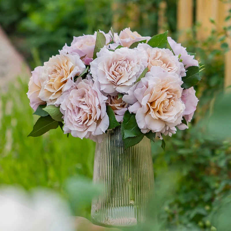 天狼月季 锁清秋 自育月季玫瑰 复古直立性丰花灌木月季