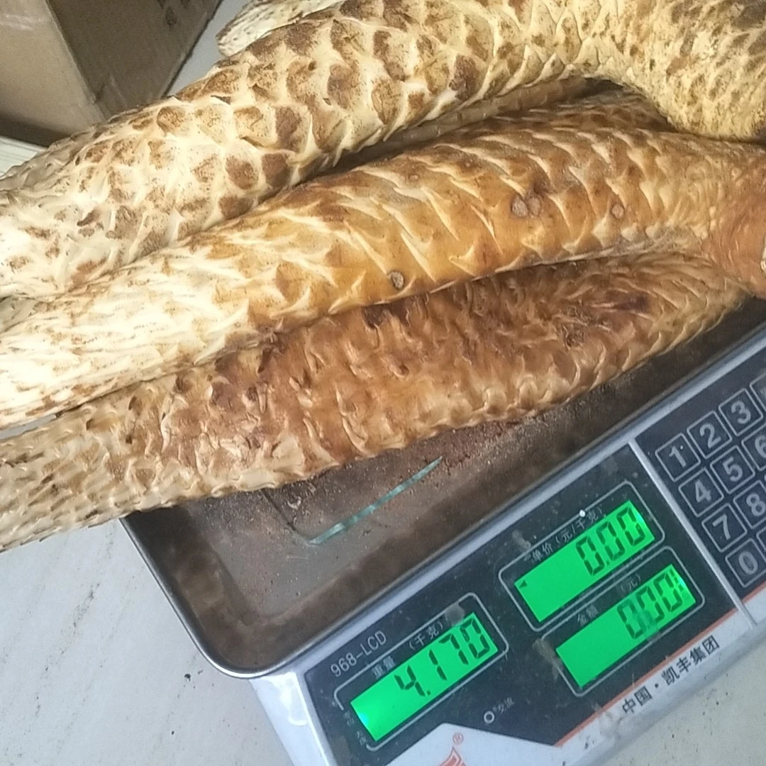 一物一拍。泡酒料秋季新货五斤起包邮