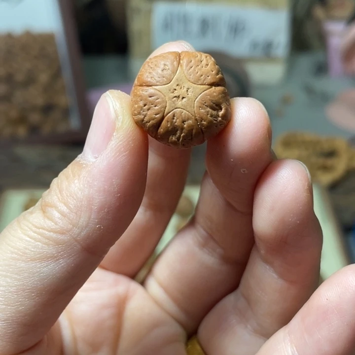 凤眼菩提吊坠五星（打孔不退不换）