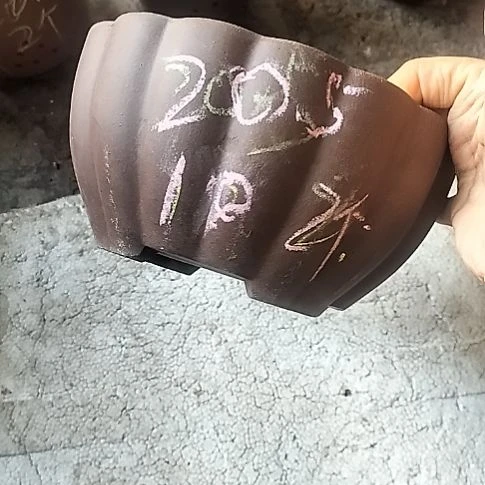 南瓜两个紫砂花盆