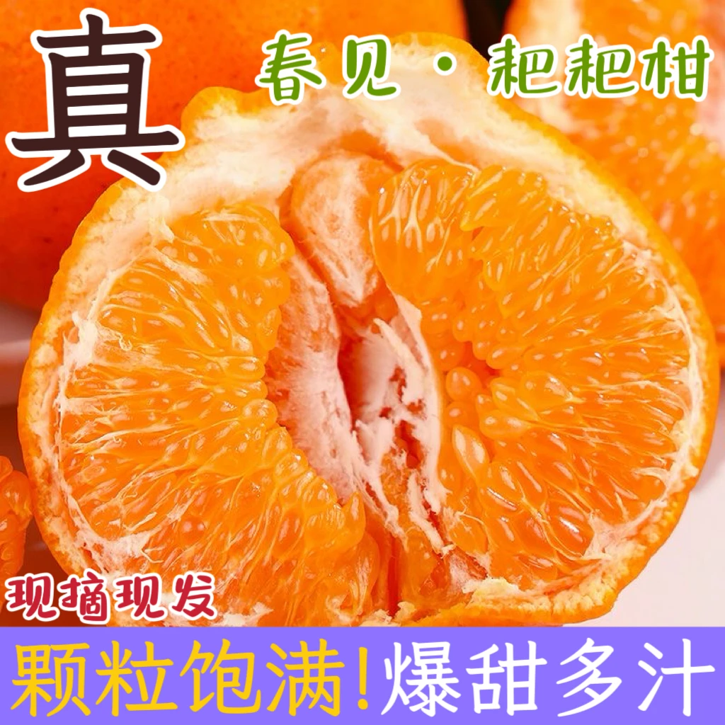 【产地直发】正宗四川春见耙耙柑新鲜多汁爽口细腻自然熟手剥水果a