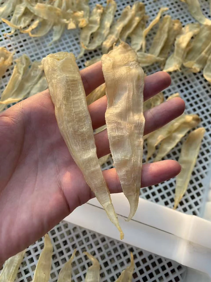 100头豆仁公胶 精洗足干准头数