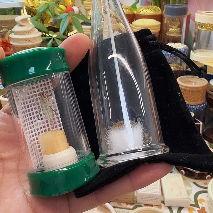 7厘米竹蛉套装啊啊啊啊啊