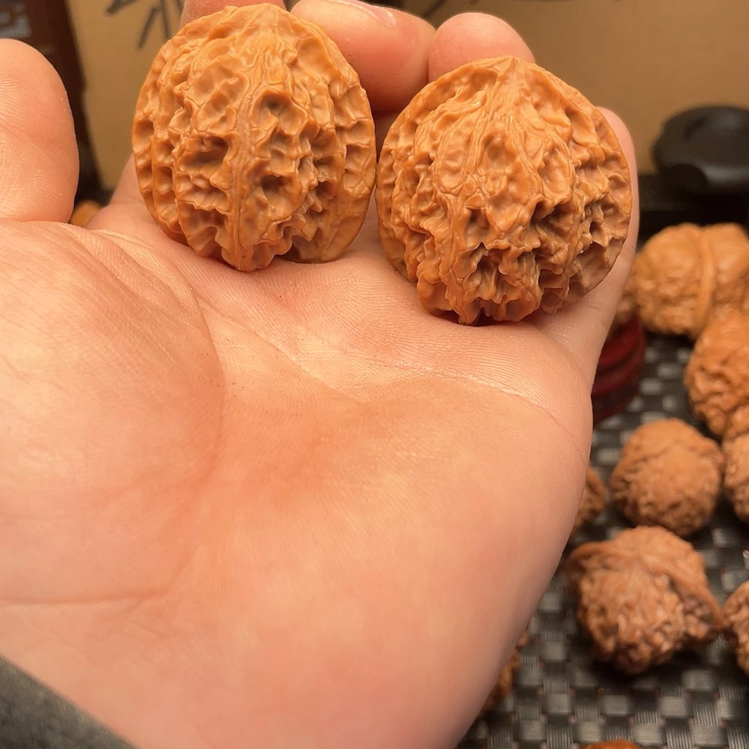 大叶紫檀（黑酸枝木类）小***学