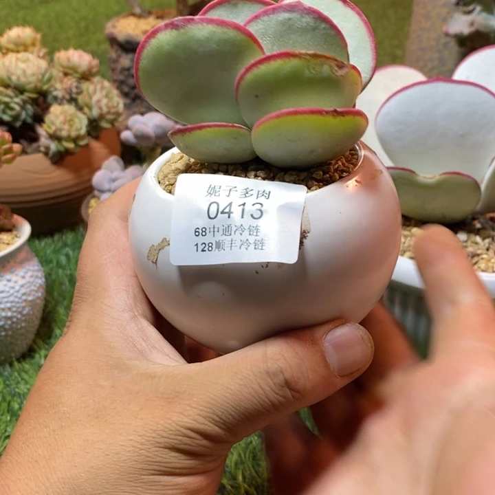 0413啊啊啊啊啊啊啊啊啊啊啊