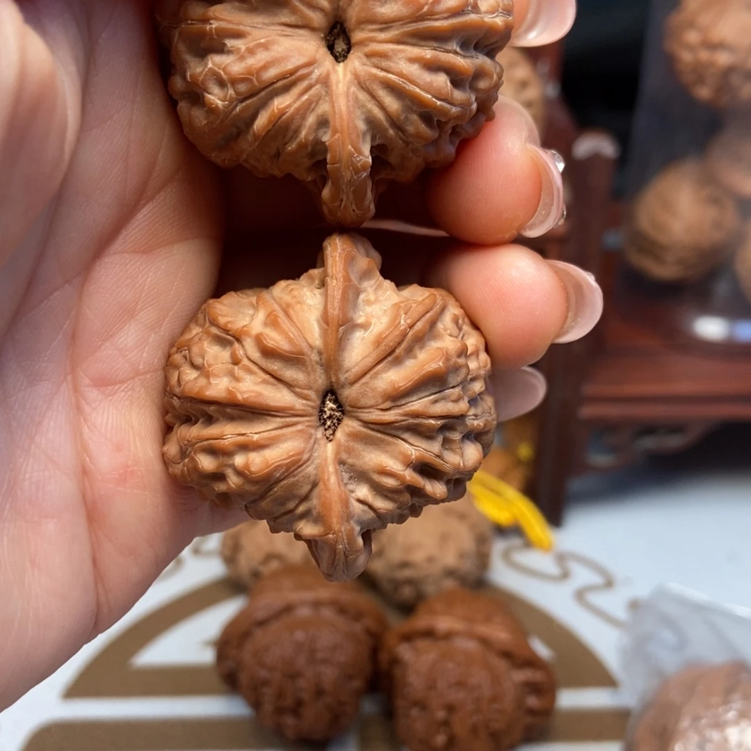 大叶紫檀（黑酸枝木类）血麒麟