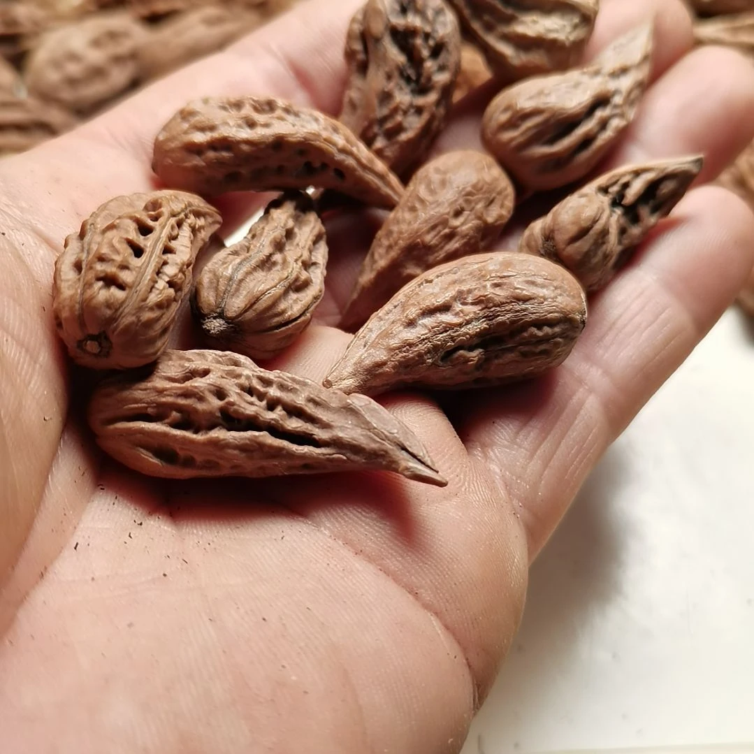 文玩核桃手串假***?东北秋子异型籽10颗20
