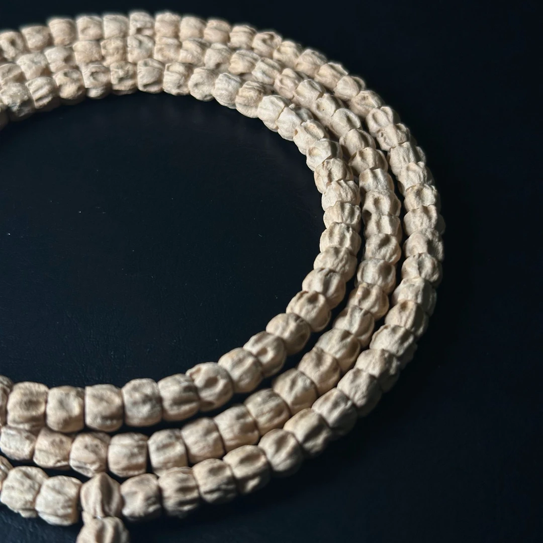 莲花龙脊直切热振柏香籽