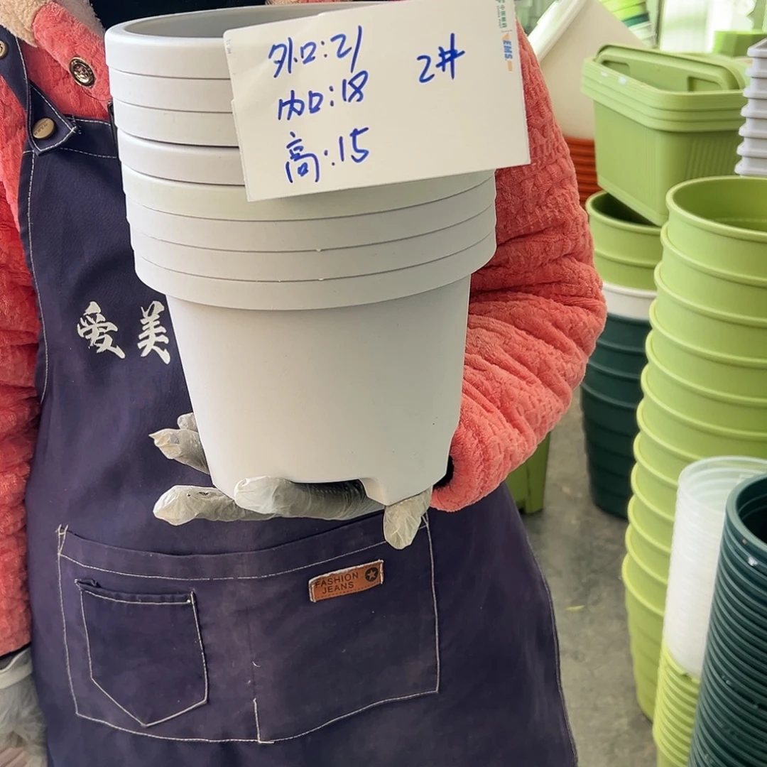 球根盆2#灰白色5个无托