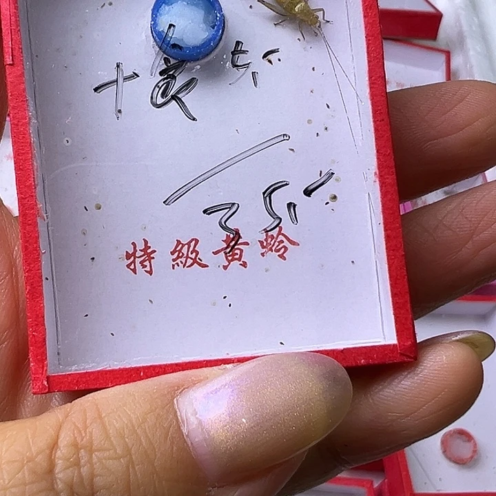 @****蟋蟀哈哈哈哈哈哈哈哈哈哈